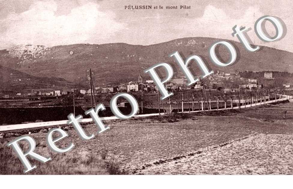 Vue generale et le Mont Pilat