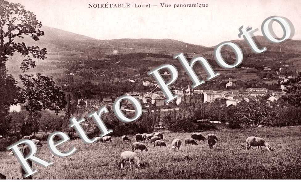 Vue panormique