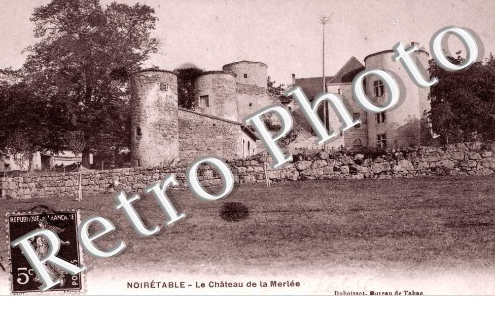 Chateau de la Merlee