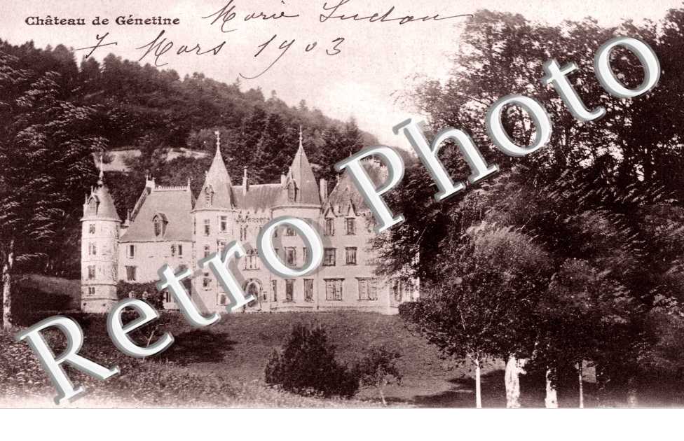 Chateau de Genetine
