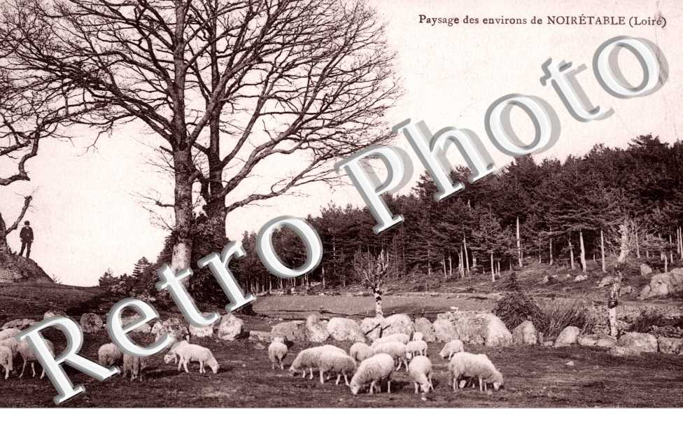 paysage des environs