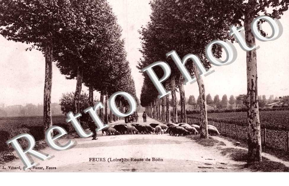 Route de Boën