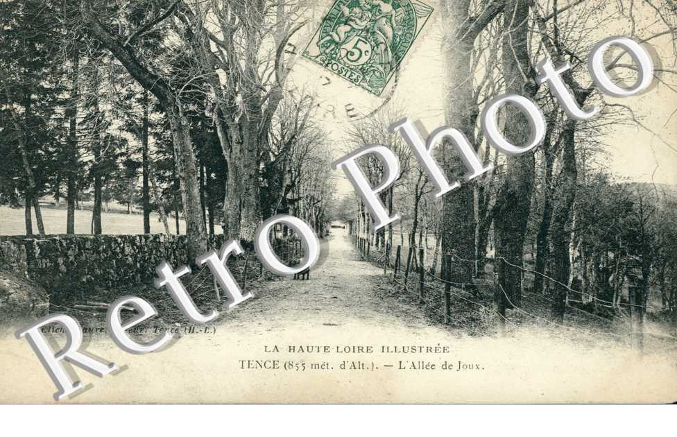 L'allee de Joux