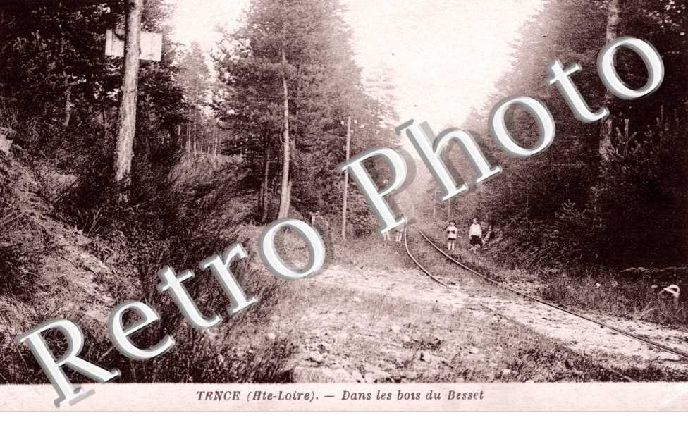 Dans les bois du Besset