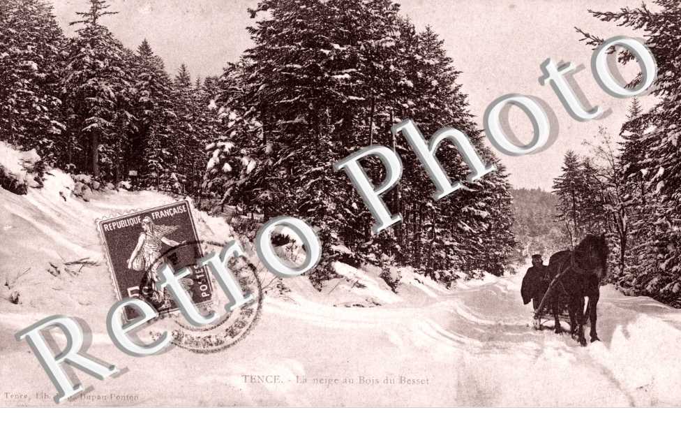 La neige au bois du Besset