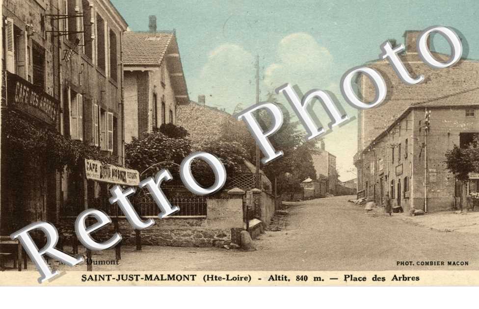 place des arbres