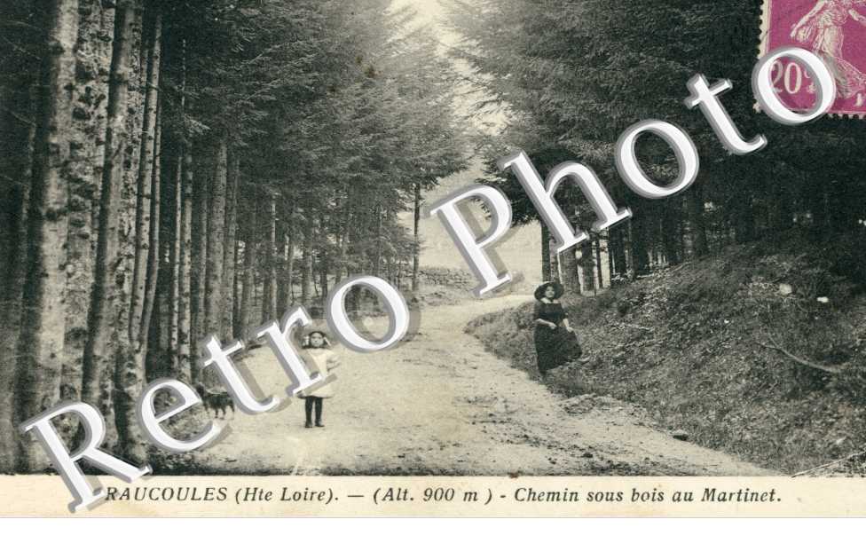 Chemin sous bois au Martinet