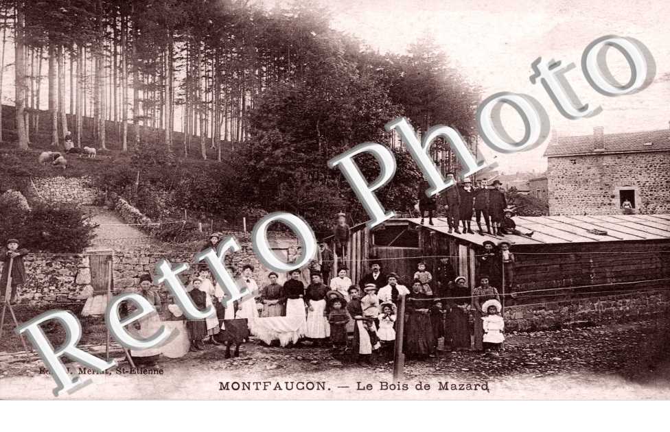 le bois de mazard