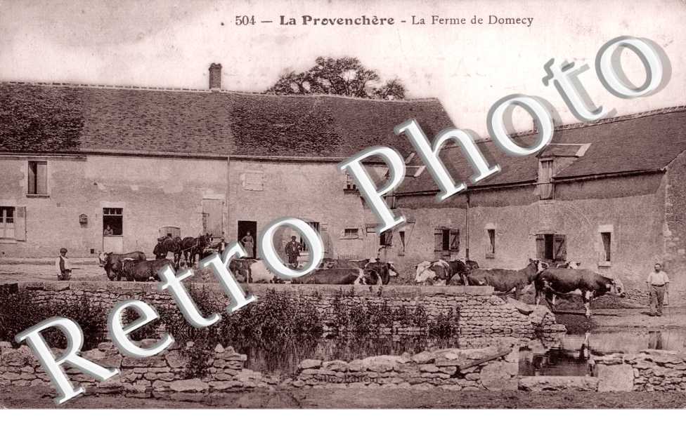 La Provenchère, la ferme de Domecy