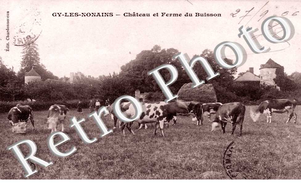 chateau et ferme du Buisson