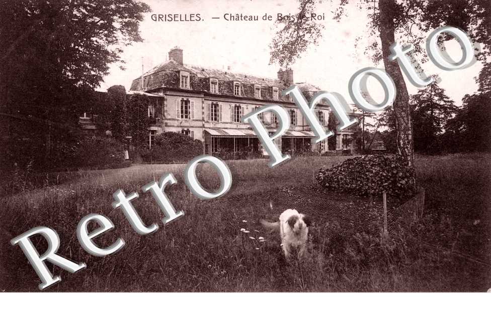 le chateau de Bois-le-Roi