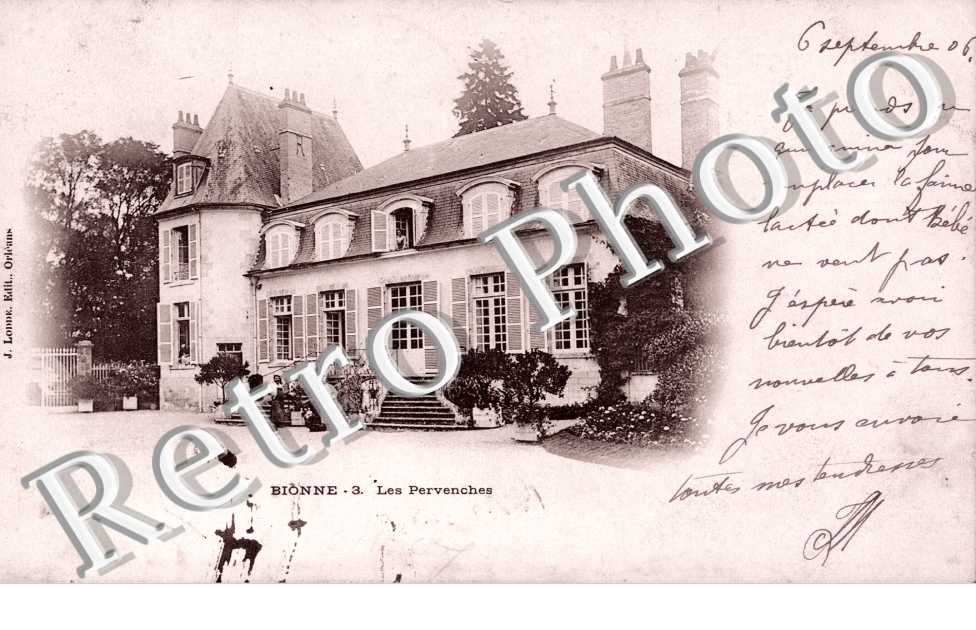 Bionne, les Pervenches