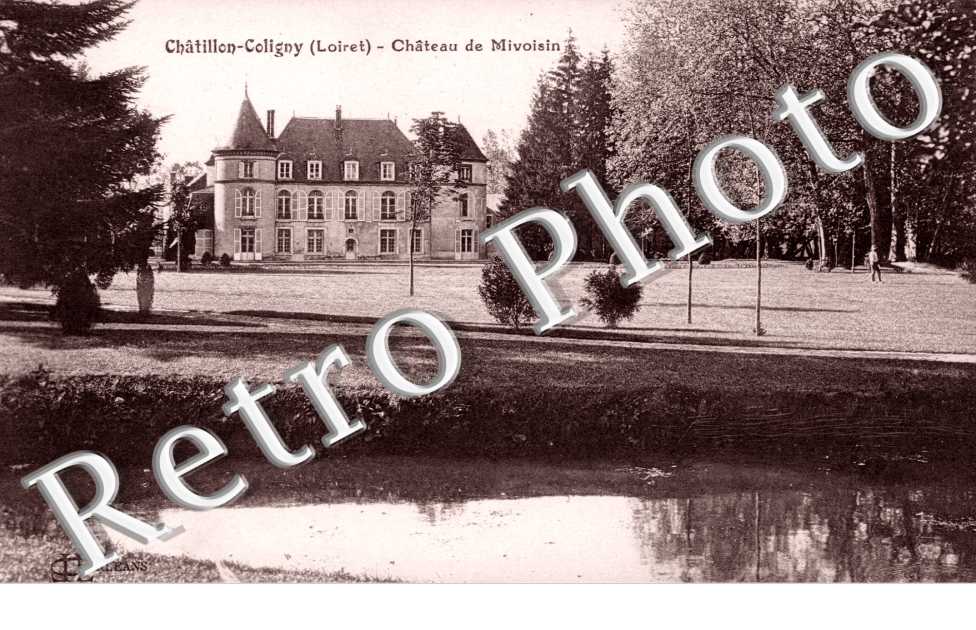 Chateau de Mivoisin