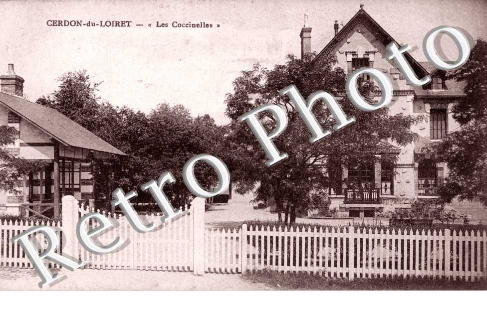 " les Coccinelles"