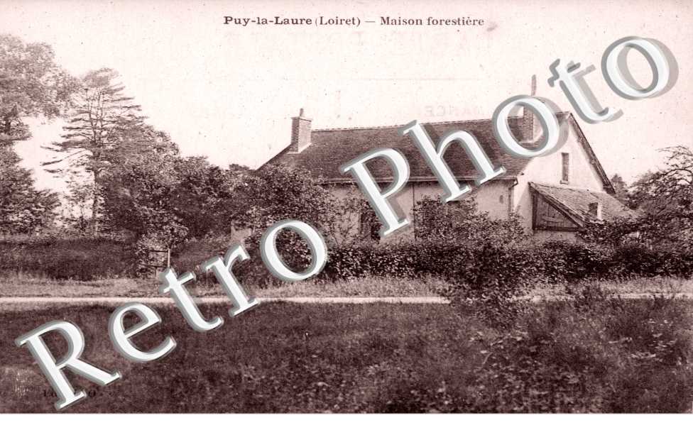 maison forestiere