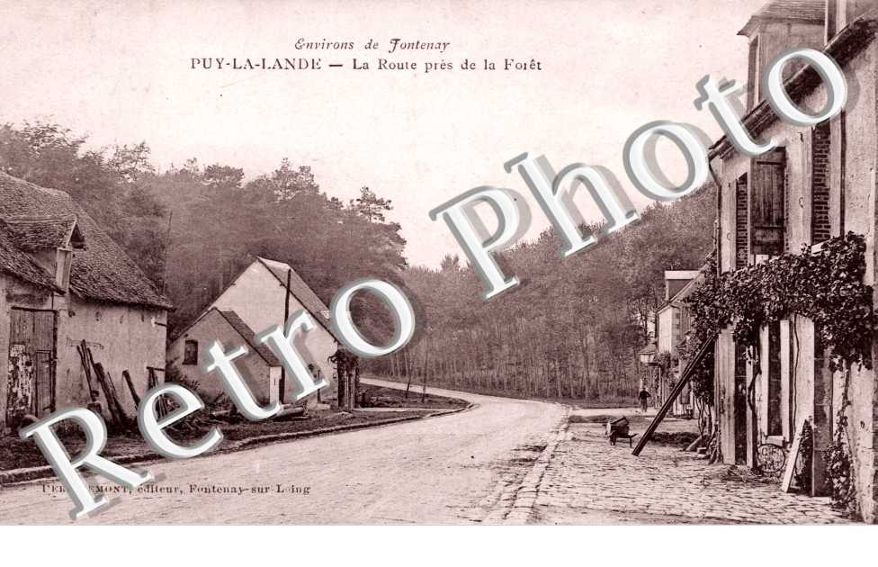 la route pres de la foret
