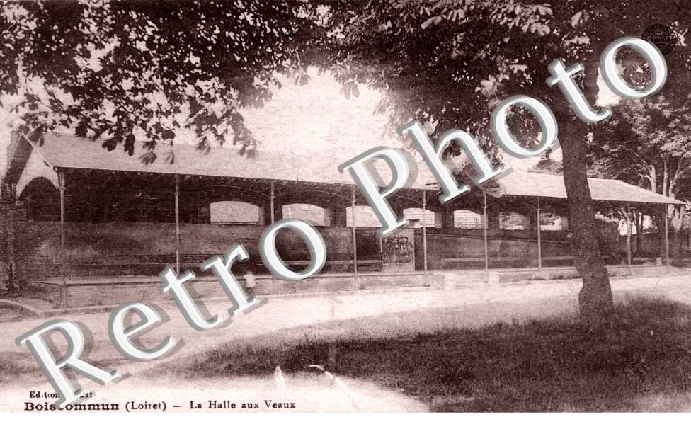 La Halle aux veaux