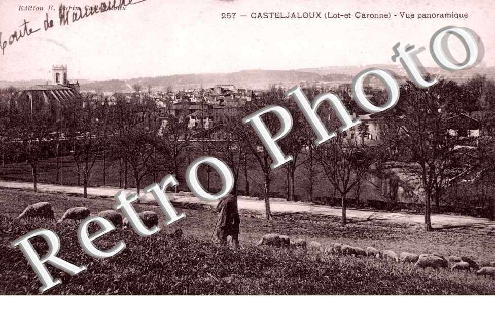 vue panoramique