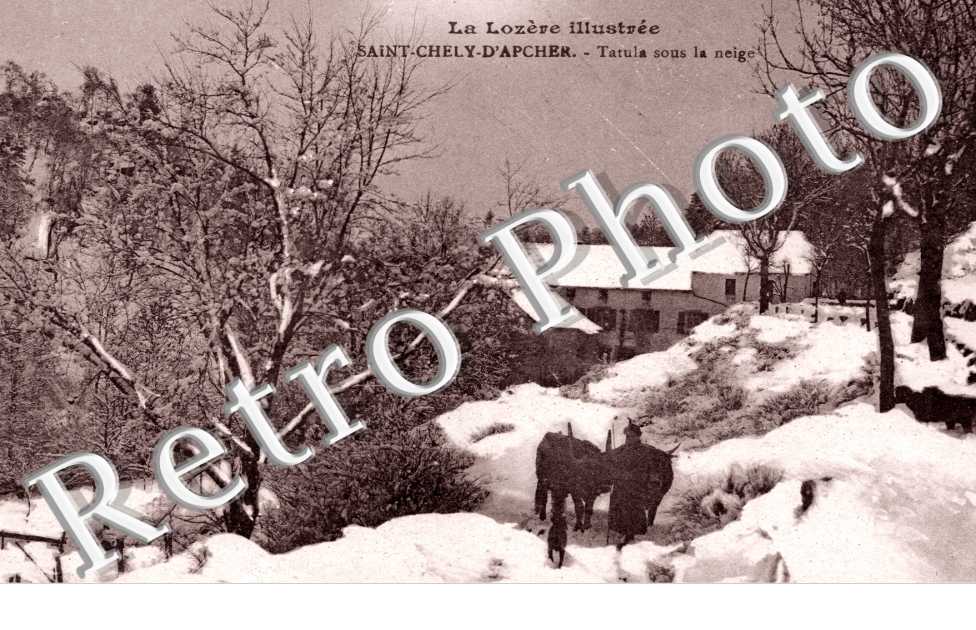 Tatula sous la neige