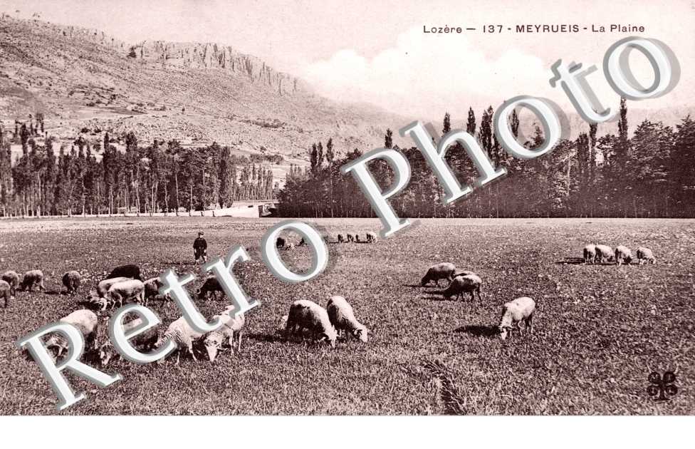 la plaine