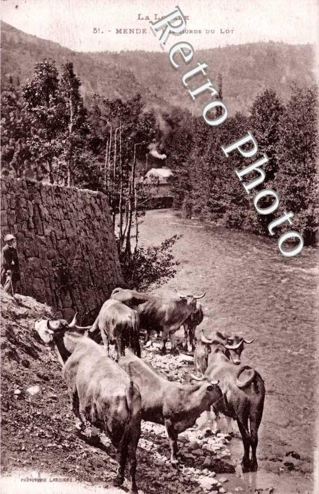 Les Bords du Lot