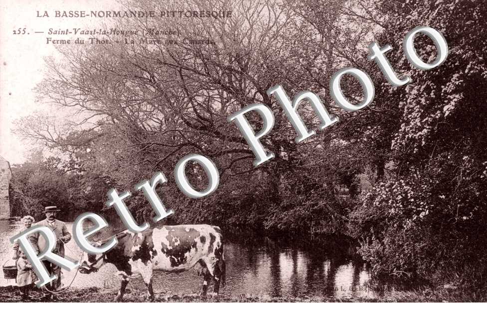 Ferme du Thot La mare aux canards