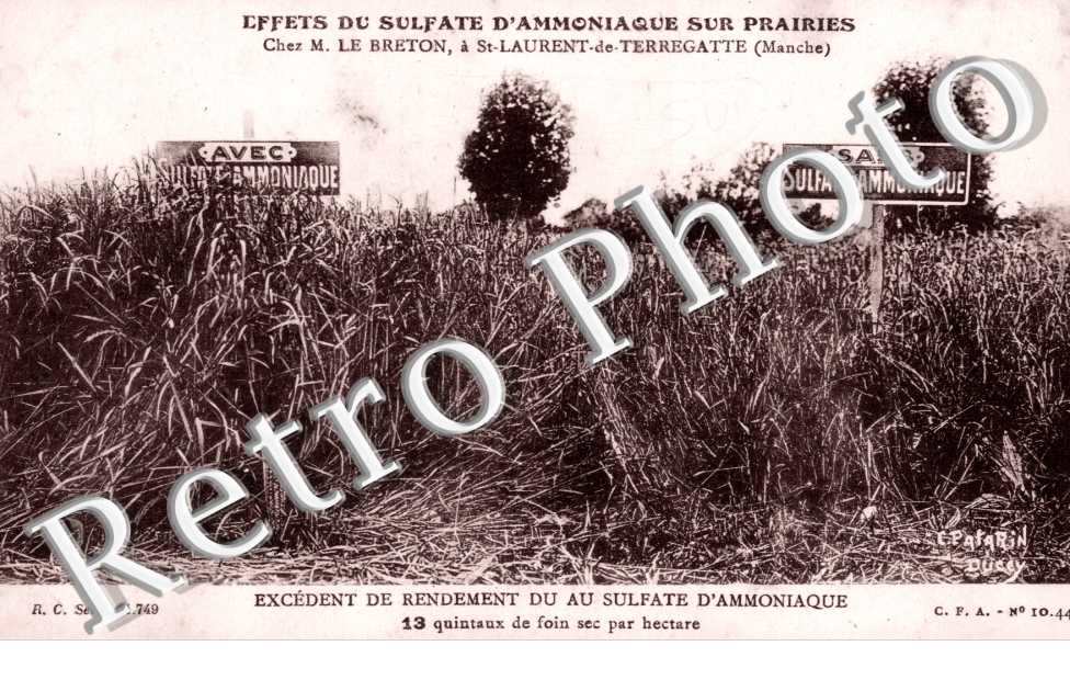 Effets du sulfate d'amoniaque sur prairies chez M. le Breton