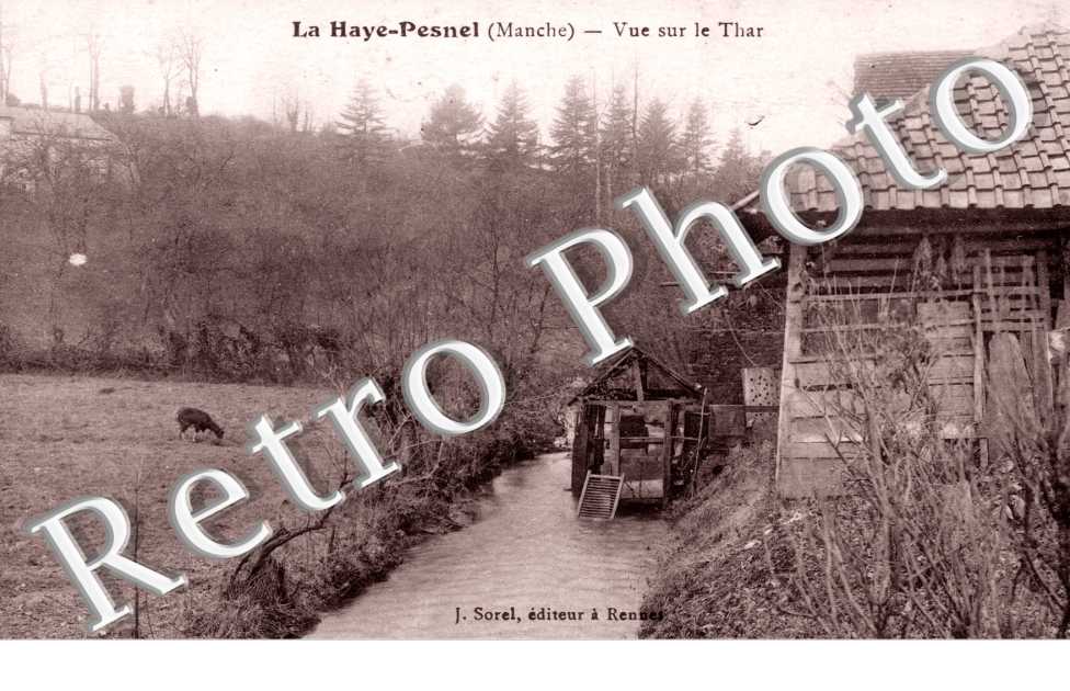 Vue sur le Thar