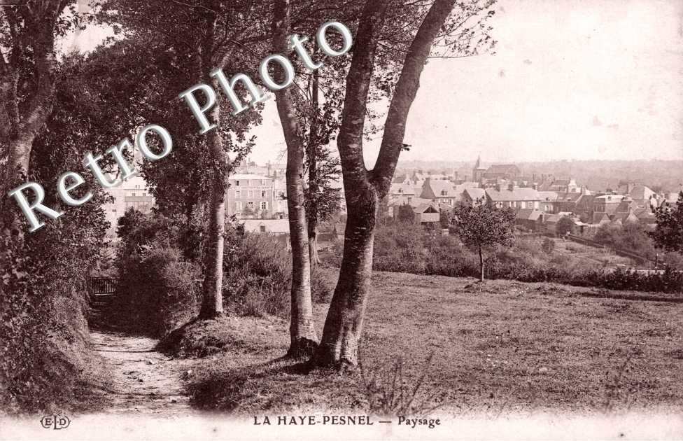 Paysage 