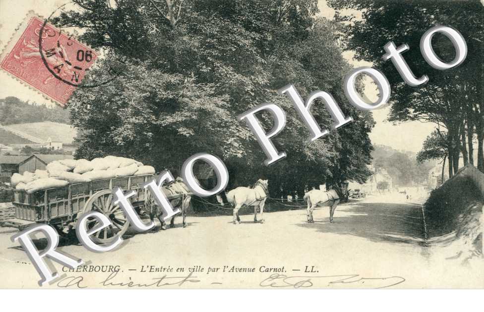 Attelage tire par des chevaux Avenue Carnot