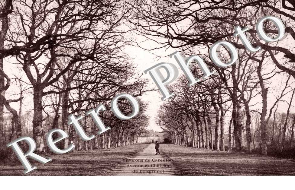 Avenue et Chateau de Boisgrimot