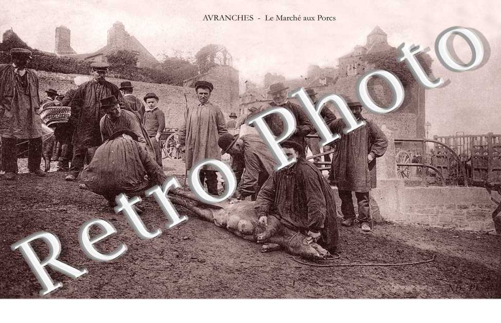 le marche aux porcs