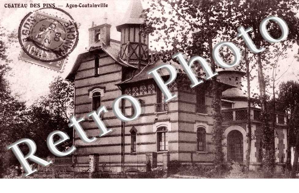 Chateau des Pins