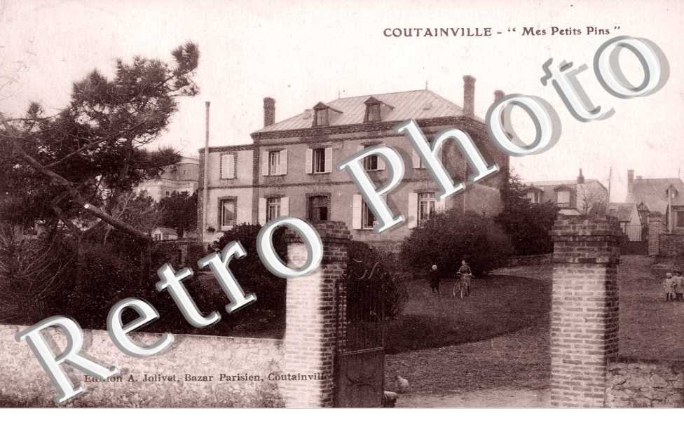 "Mes Petits Pins"