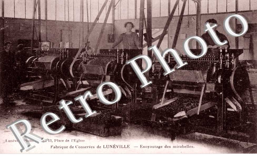 Enoyautage des mirabelles