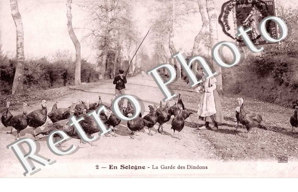  La Garde des Dindons