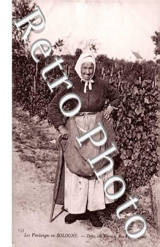 Une Vendangeuse, dans les Vignes