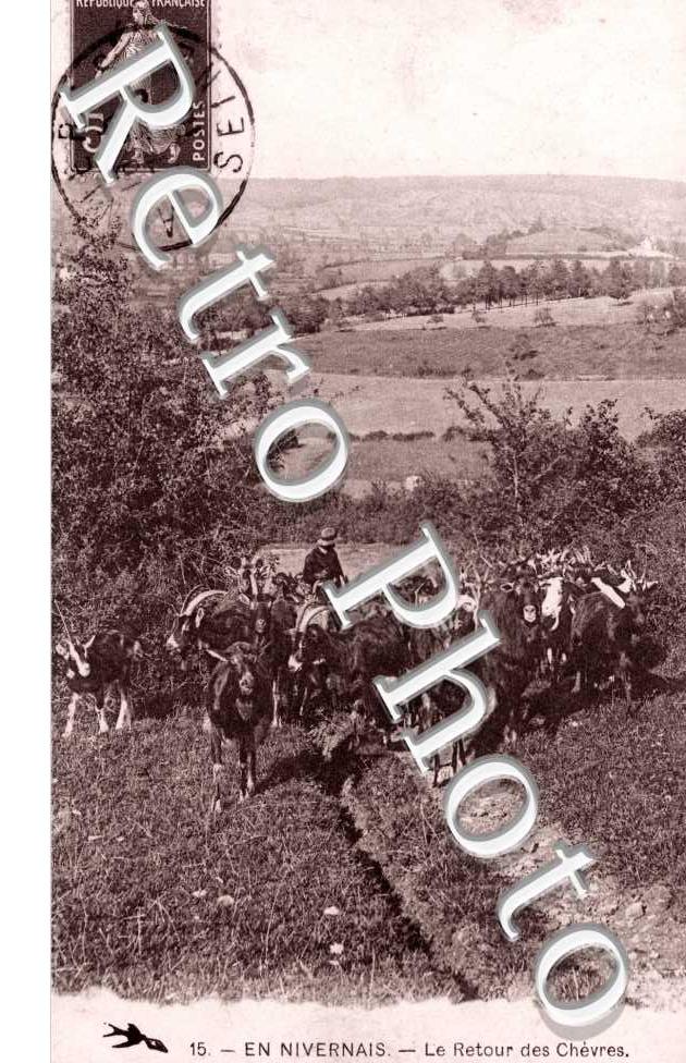 Le reour des chevres