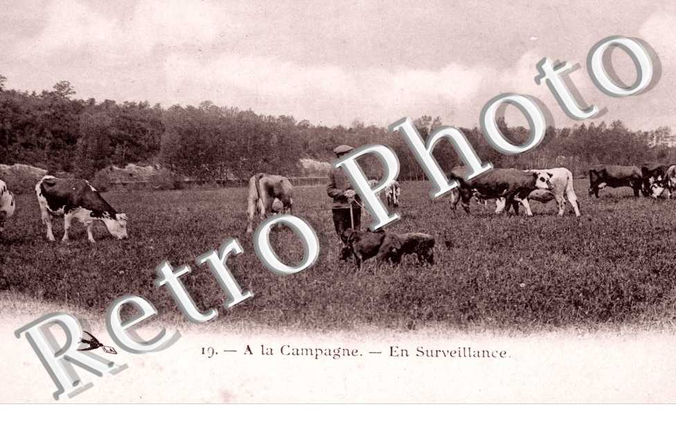 a la campagne en surveillance