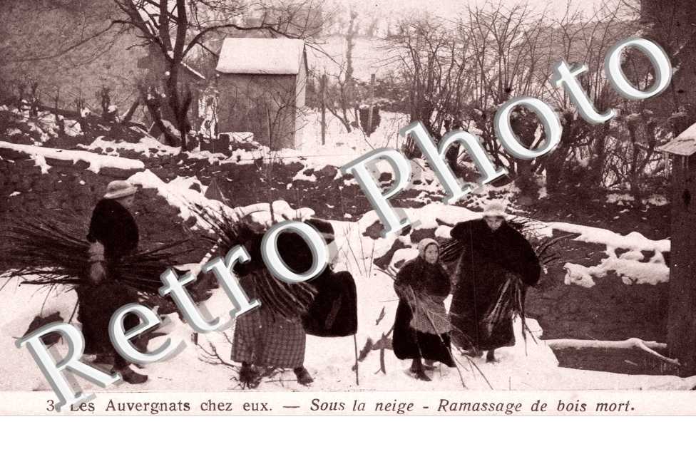 Sous la neige Ramassage du bois mort