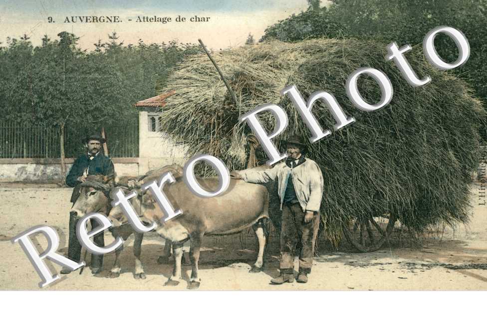 attelage de char