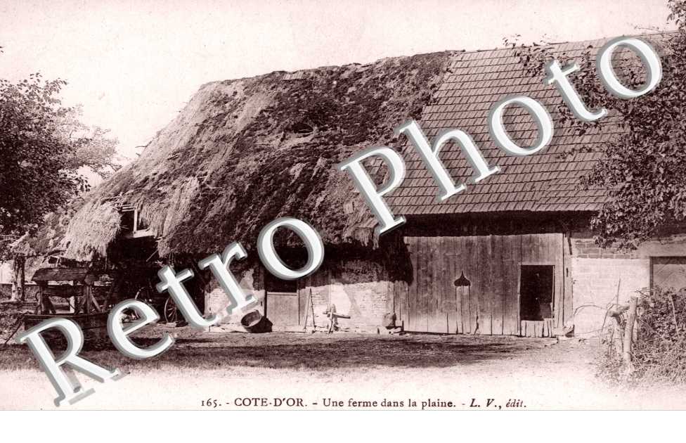 Cote d'Or, une ferme dans la plaine