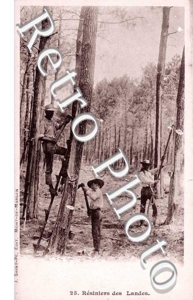 resiniers des Landes
