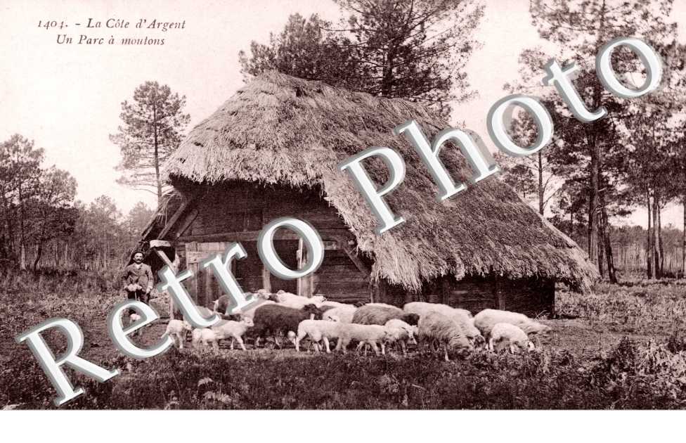 Un parc a moutons