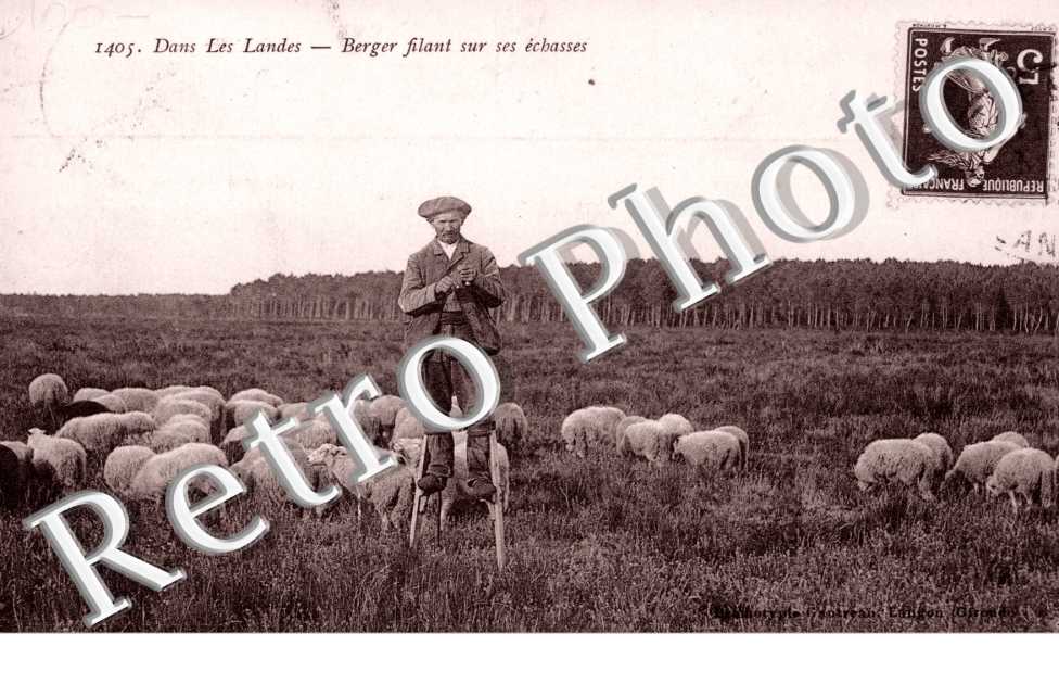 Berger filant sur ses echasses