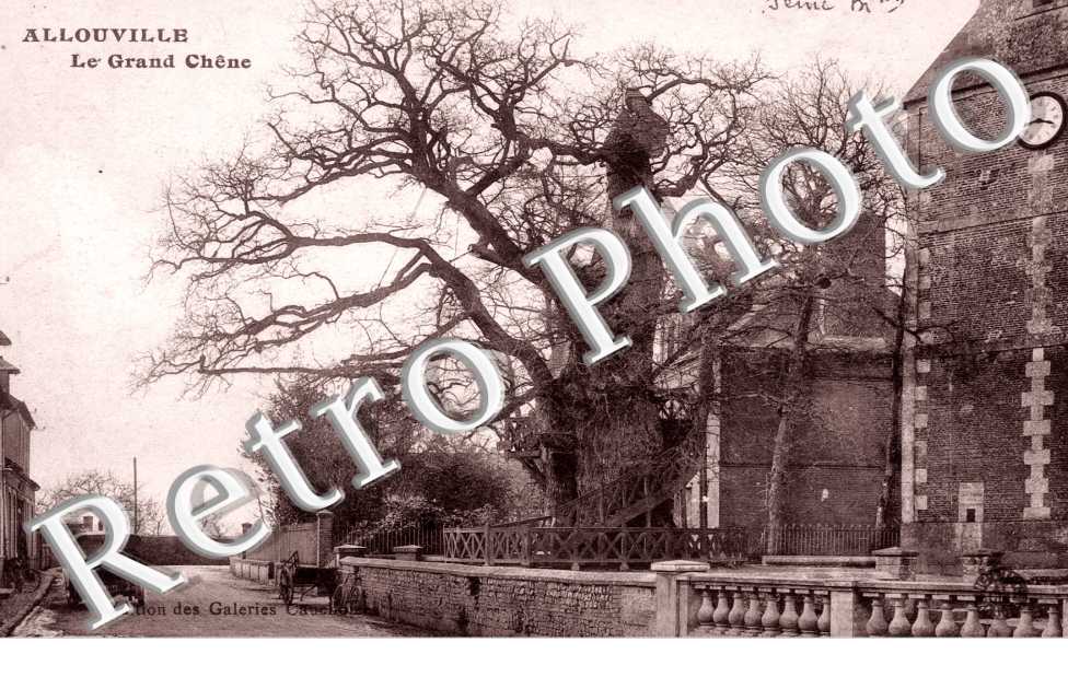 le grand chene