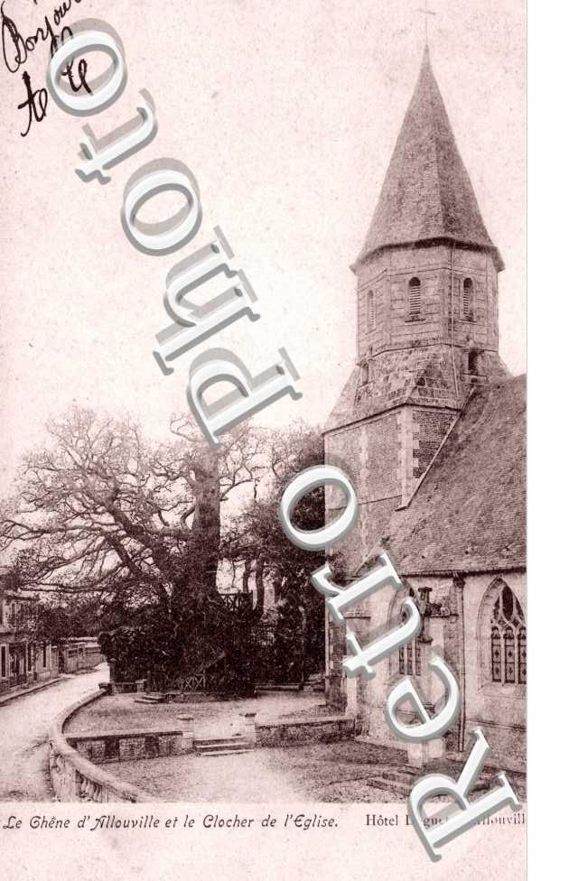 le chene d&#039;Allouville et le clocher de l&#039;eglise