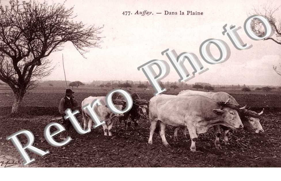 Dans la Plaine