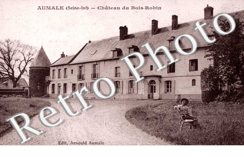 Chateau du Bois Robin