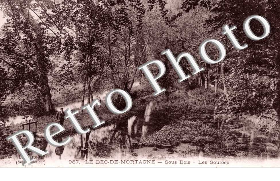 sous-bois, les sources